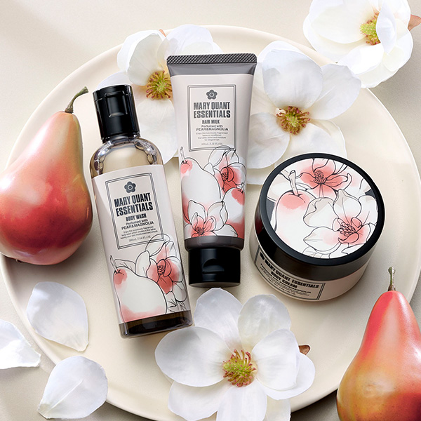 エッセンシャルズ【数量限定】