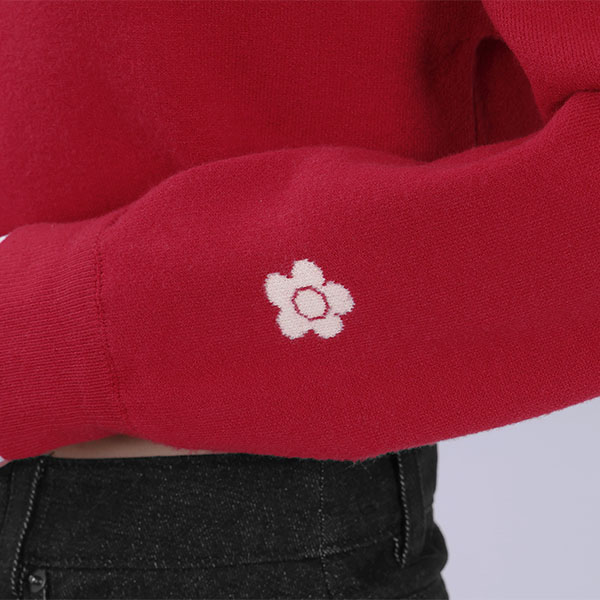 レイヤードレトロロゴ プルオーバー（レッド）