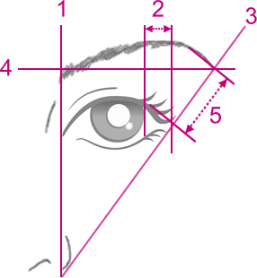 理想のバランス