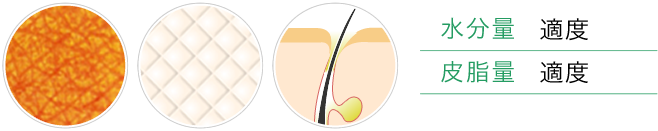 ノーマルスキン