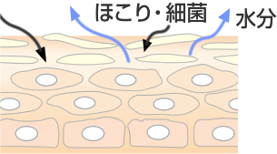 バリア機能が乱れた肌