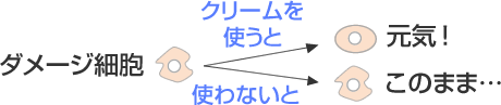 クリームを使わないと