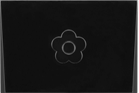 ブラッシュ ベビー