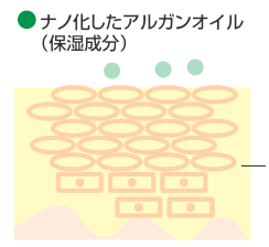 ナノ化したアルガンオイル