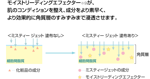 モイストリーディングエフェクターが、肌のコンディションを整え、成分をより素早く、より効果的に角質層のすみずみまで浸透させます。