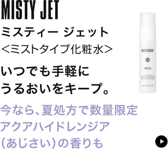 ミスティー ジェット
