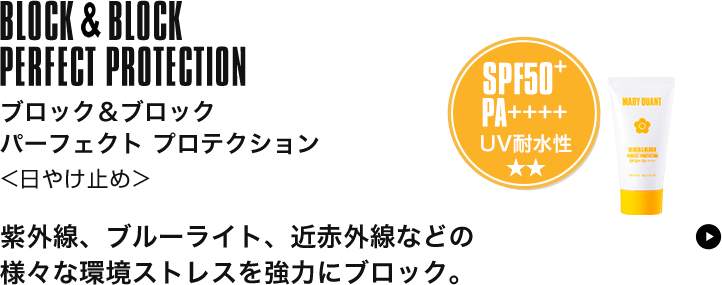 ブロック&ブロック パーフェクト プロテクション