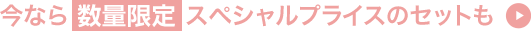 スペシャルプライス