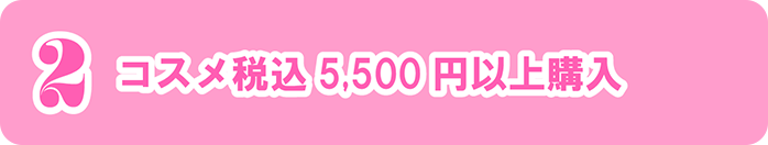 2 コスメ税込5,500円以上購入