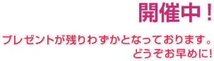 AUTUMN CAMPAIGN 2025 残りわずか