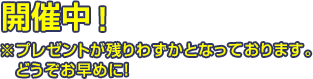 AUTUMN CAMPAIGN 2026 開催中 残りわずか