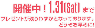 NEW YRAR CAMPAIGN 2026 残りわずか