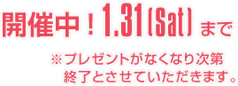 オンラインショップでは終了いたしました。