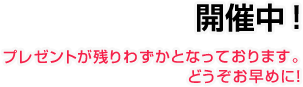 SPRING CAMPAIGN 2025 残りわずか