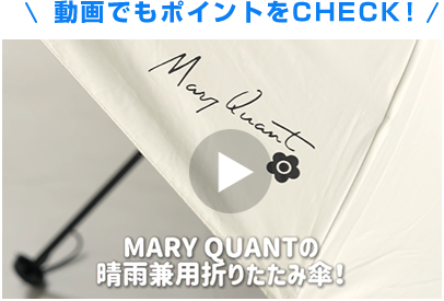 動画でもポイントをCHECK！