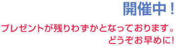 SUMMER CAMPAIGN 2025 残りわずか