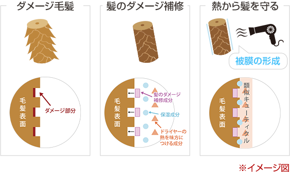 美髪にするポイント