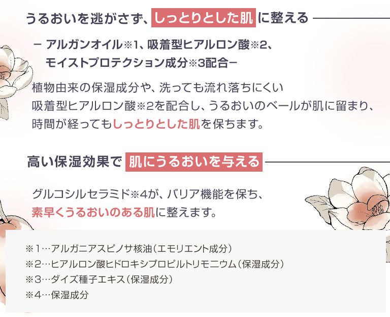 エッセンシャルズ