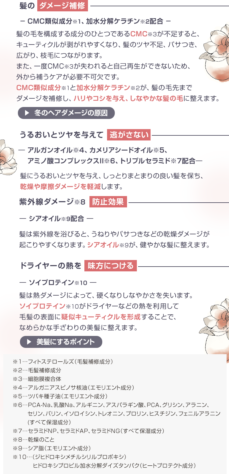 エッセンシャルズ