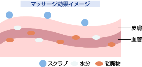 エッセンシャルズ