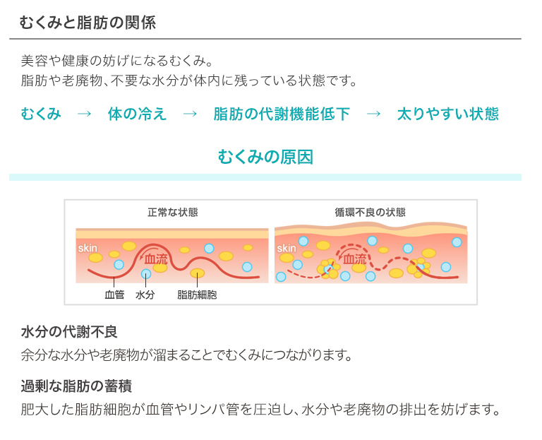 ボディ ブラシ&エッセンシャルズ<br />（アイスジャスミンの香り）スペシャルセット