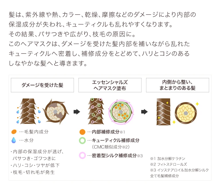 美髪になるしくみ