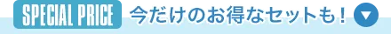 ブロック＆ブロック パーフェクト プロテクション L-01