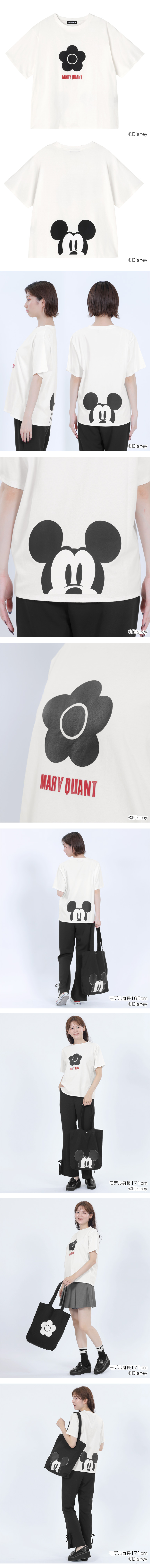 DISNEY DESIGN COLLECTION