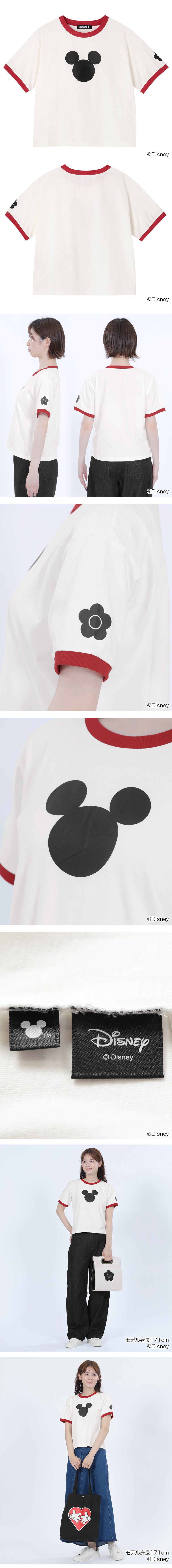 DISNEY DESIGN COLLECTION