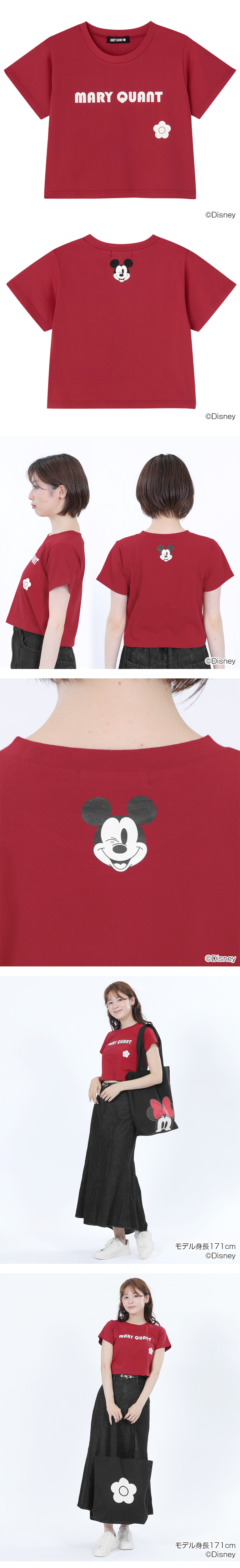 DISNEY DESIGN COLLECTION