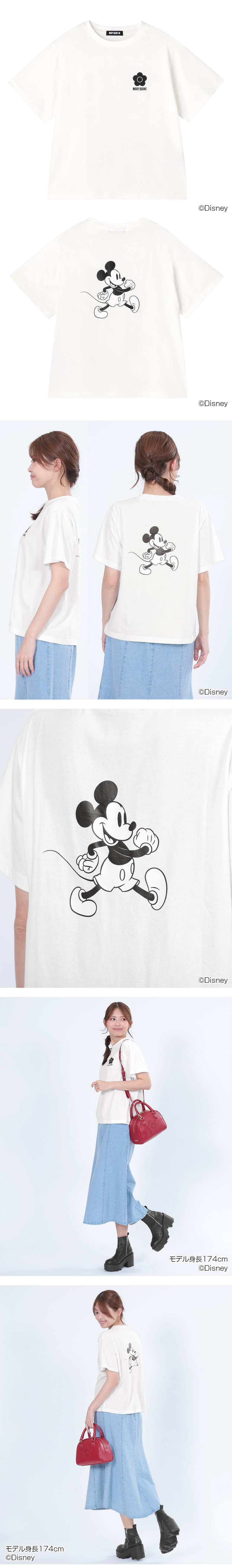 DISNEY DESIGN COLLECTION