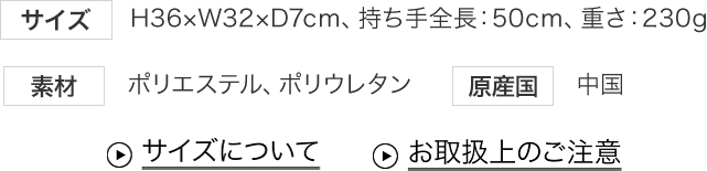 詳細情報