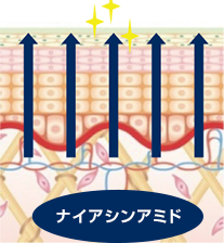 シワを改善