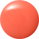 ネイル ポリッシュ