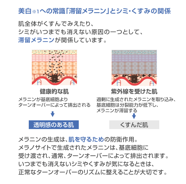 ゴワつき、くすみの原因