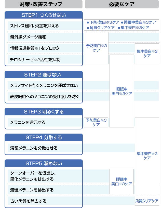 シミの生成過程