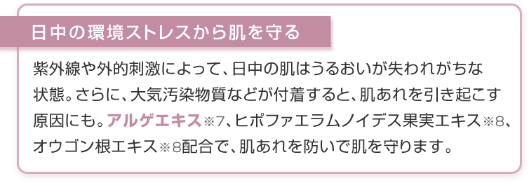 日中の環境ストレスから肌を守る