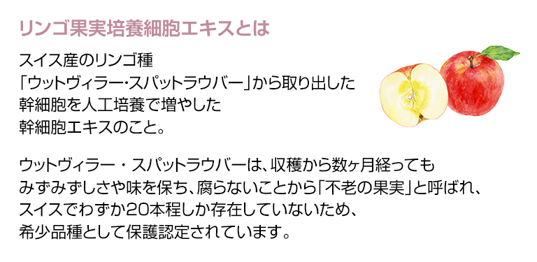 リンゴ果実培養細胞エキスとは