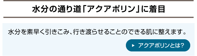 水分の通り道「アクアポリン」に着目