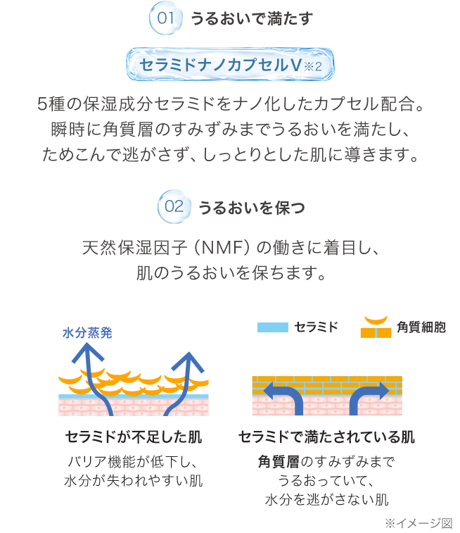 うるおいに満ちた肌へ