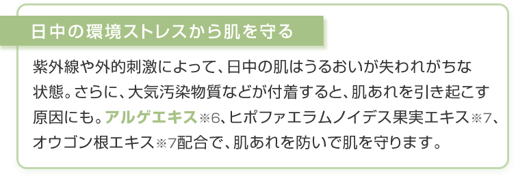 日中の環境ストレスから肌を守る
