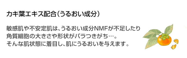 カキ葉エキスについて