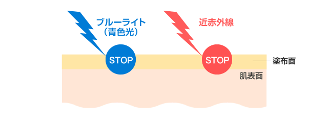 環境ストレスから肌を守る