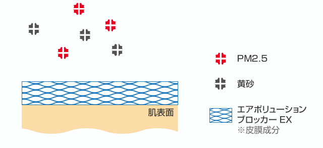 環境ストレスから肌を守る