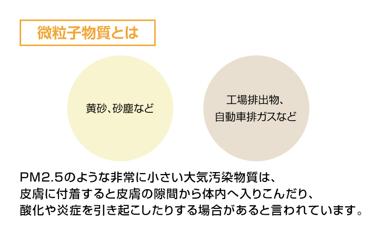 微粒子物質とは