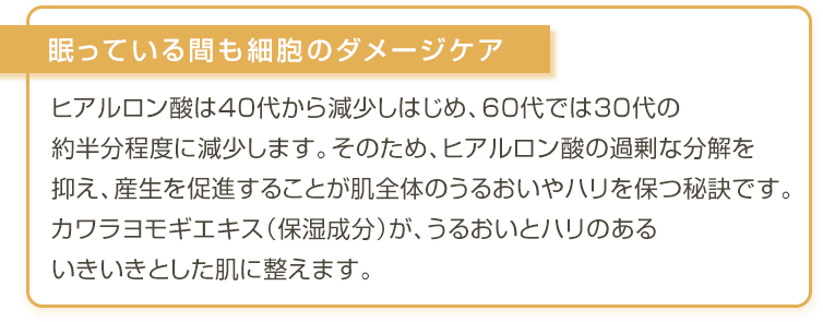 眠っている間も細胞のダメージケア
