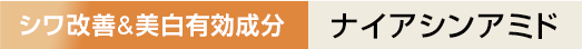 シワ改善 美白有効   成分