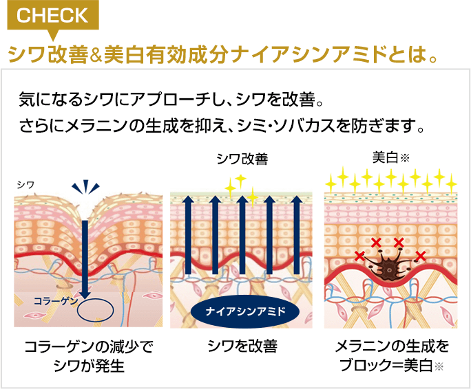 シワ改善 × 美白