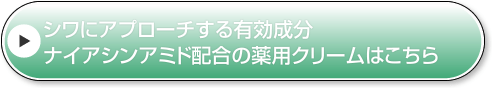シワにアプローチする有効成分ナイアシンアミド配合の薬用クリームはこちら