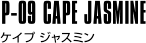 P-09 CAPE JASMINE ケイプ ジャスミン